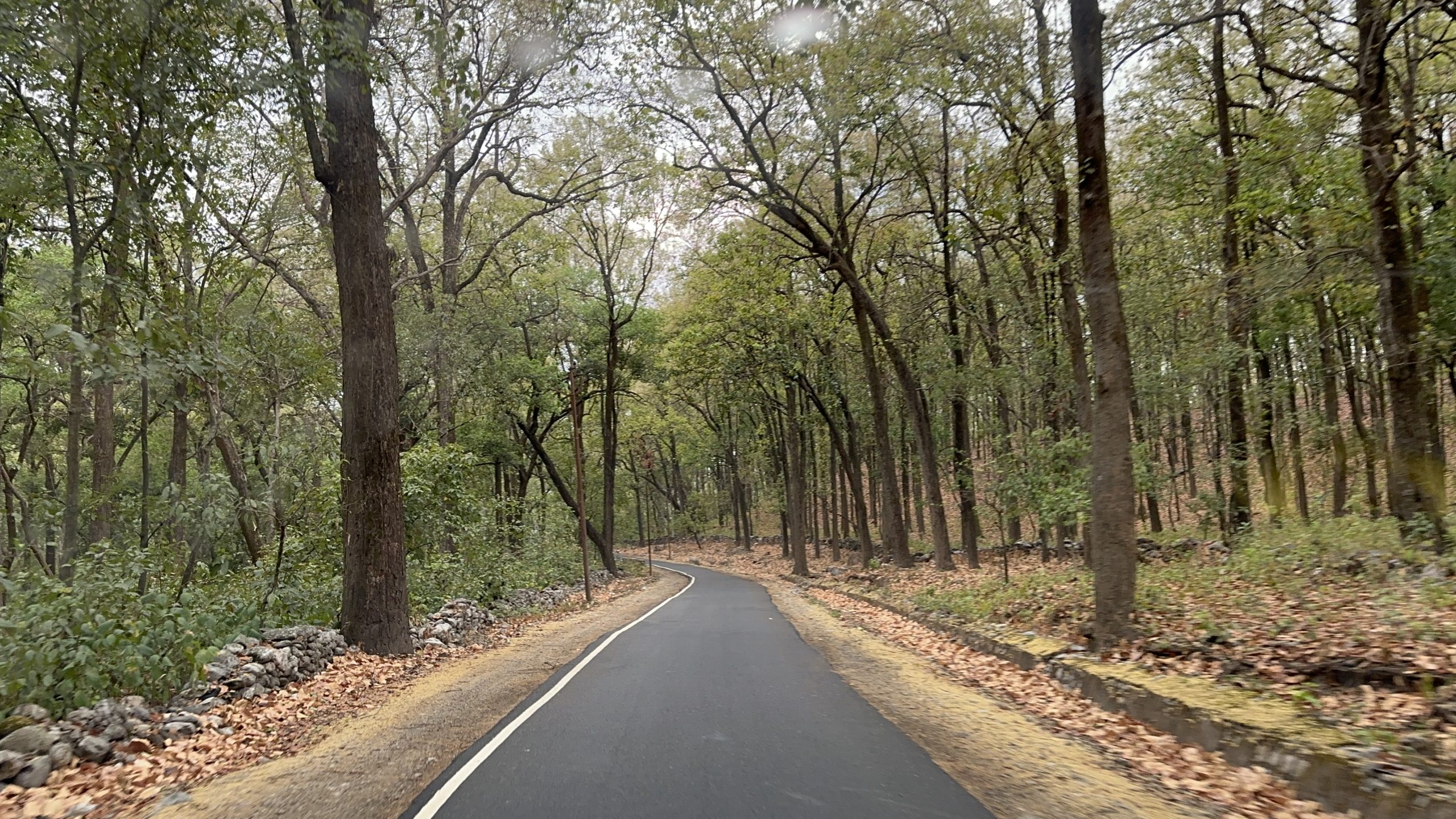 淡水及八里添醫療生力軍！振興醫療團隊守護新北民眾的「心」